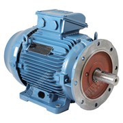 Photo of WEG W22 IE3 Cast Iron 22kW Three Phase Motor 400V/690V 2 Pole 180M Frame B35