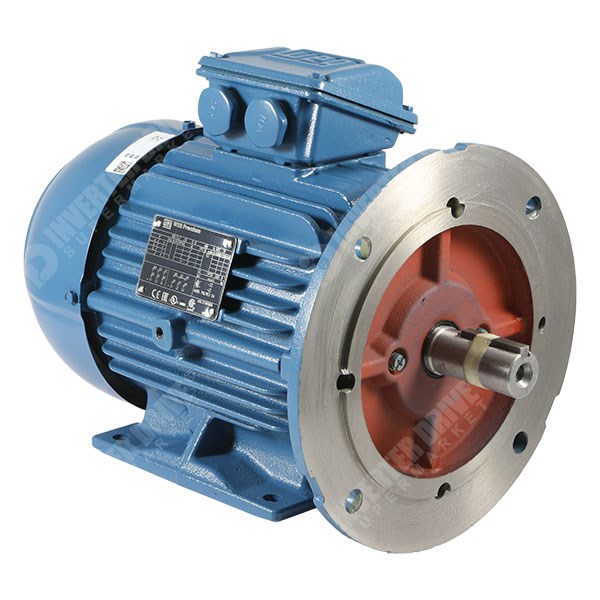 Photo of WEG W22 IE3 Cast Iron 3kW Three Phase Motor 230V/400V 4 Pole 100L Frame B35